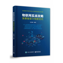 《物联网实战攻略：探索智联万物新时代》[23M]百度网盘|亲测有效|pdf下载