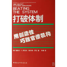 《打破*:用创造巧胜*机构鲁塞尔·阿克夫中国社会科学计算机与互联》[38M]百度网盘|亲测有效|pdf下载