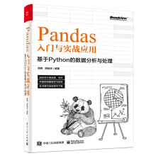 《Pandas入门与实战应用基于Python的数据分析与处理Pandas数据提取筛选汇总统计及可视化技术Pandas实战应用书籍》[54M]百度网盘|亲测有效|pdf下载