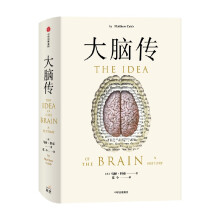 《大脑传马修·科布著科普》[39M]百度网盘|亲测有效|pdf下载