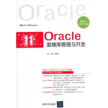 Oracle数据库管理与开发 pdf下载pdf下载