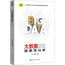 《大数据探索性分析吴翌琳房祥忠》[58M]百度网盘|亲测有效|pdf下载