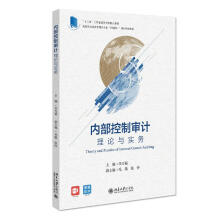 《内部控制审计》[49M]百度网盘|亲测有效|pdf下载
