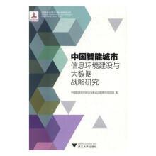 《中国智能城市信息环境建设与大数据战略研究书籍计算机与互联网大数据与云计算》[28M]百度网盘|亲测有效|pdf下载