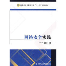 《网络安全实践谭建明马传龙作书籍》[56M]百度网盘|亲测有效|pdf下载