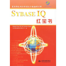 《SYBASEIQ红宝书北京寰信通科技有限公司》[38M]百度网盘|亲测有效|pdf下载