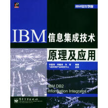 《IBM信息集成技术原理及应用》[29M]百度网盘|亲测有效|pdf下载