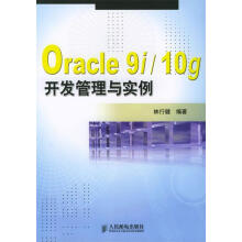 Oracle9ig开发管理与实例 pdf下载pdf下载