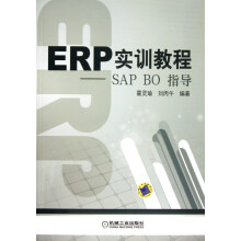 ERP实训教程--SAPBO指导 pdf下载pdf下载