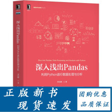 《深入浅出Pandas利用Python进行数据处理与分析李庆辉互联网大数据云》[49M]百度网盘|亲测有效|pdf下载