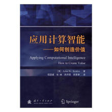 《应用计算智能-如何创造价值国防工业计算机与互联网书籍》[54M]百度网盘|亲测有效|pdf下载