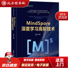 《MindSpore深度学习高阶技术华为智能计算技术丛书陈雷北方城》[26M]百度网盘|亲测有效|pdf下载