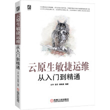《云原生敏捷运维从入门到精通》[48M]百度网盘|亲测有效|pdf下载