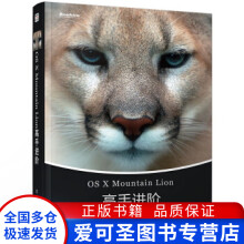 《OSXMountainLion高手进阶ibuick》[21M]百度网盘|亲测有效|pdf下载