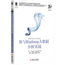 R与Hadoop大数据分析实战 pdf下载pdf下载