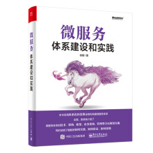 《微服务体系建设和实践计算机与互联网任钢》[39M]百度网盘|亲测有效|pdf下载