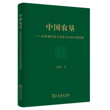 中国农垦：农业现代化与农业安全的中国道路 pdf下载pdf下载