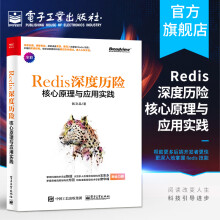 官方深度历险核心原理与应用实践钱文品著Redis教程书籍深入理解Redi pdf下载pdf下载
