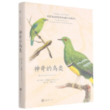《神奇的鸟类》[53M]百度网盘|亲测有效|pdf下载
