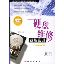 《硬盘维修技能实训王伟伟》[38M]百度网盘|亲测有效|pdf下载