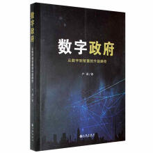 《数字政府：从数字到智慧的升级路径严谨九州计算机与互联网书籍》[22M]百度网盘|亲测有效|pdf下载