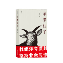 《羊呆住了李盆著超现实主义广告互联网创意无文体写作八十九篇作品华语文学现代小说书籍信睿》[31M]百度网盘|亲测有效|pdf下载