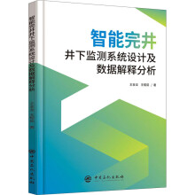 《智能完井井下监测系统设计及数据解释分析》[59M]百度网盘|亲测有效|pdf下载