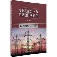 《多介质融合电力信息通信网建设王如伟编书籍》[39M]百度网盘|亲测有效|pdf下载