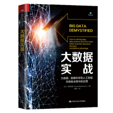 大数据实战——大数据、数据科学和人工智能在商务决策中的应用大卫·斯蒂芬森中国人民 pdf下载pdf下载