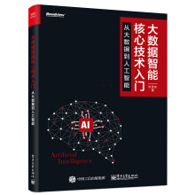 《大数据智能核心技术入门：从大数据到人工智能》[52M]百度网盘|亲测有效|pdf下载
