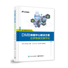 :DM8数据中心解决方案——达梦数据交换平台 pdf下载pdf下载