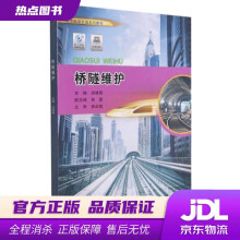 《桥隧维护田建德重庆》[58M]百度网盘|亲测有效|pdf下载