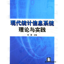 《现代统计信息系统理论与实践杜栋》[59M]百度网盘|亲测有效|pdf下载
