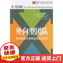《IT风险外向型团队》[43M]百度网盘|亲测有效|pdf下载