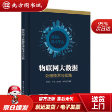 《物联网大数据处理技术与实践王桂玲等编著北方城》[49M]百度网盘|亲测有效|pdf下载