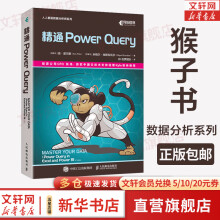 精通PowerQuery猴子书powerquery教程PowerBI数据分析 pdf下载