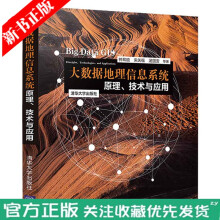 《大数据地理信息系统原理技术与应用GIS空间大数据书》[35M]百度网盘|亲测有效|pdf下载