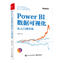 《PowerBI数据可视化从入门到实战袁佳林》[23M]百度网盘|亲测有效|pdf下载