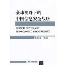 《全球视野下的中国信息安全战略》[46M]百度网盘|亲测有效|pdf下载