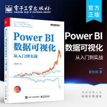 《官方PowerBI数据可视化从入门到实战PowerBI入门与进阶书籍PowerBI数据分析及仪表板设计整体流程PowerBI核心计算原理》[49M]百度网盘|亲测有效|pdf下载