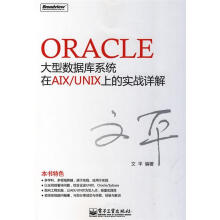 《Oracle大型数据库系统在AIXUNIX上的实战详解文平　编著》[50M]百度网盘|亲测有效|pdf下载