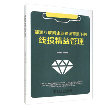 《能源互联网企业建设背景下的线损精益管理》[50M]百度网盘|亲测有效|pdf下载