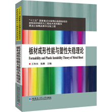 《板材成形性能与塑性失稳理论王传杰,张鹏编书籍》[40M]百度网盘|亲测有效|pdf下载