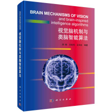 《视觉脑机制与类脑智能算法》[37M]百度网盘|亲测有效|pdf下载