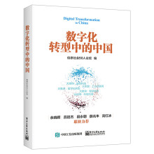 《数字化转型中的中国信息社会人论坛智能科技工业互联网数字化转型智慧城市科技向》[57M]百度网盘|亲测有效|pdf下载