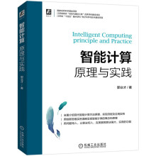 《智能计算：原理与实践ChatGPT背后的逻辑》[24M]百度网盘|亲测有效|pdf下载