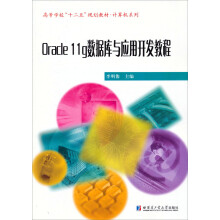《高等学校“十二五”规划教材·计算机系列：Oracleg数据库与开发应用教程》[34M]百度网盘|亲测有效|pdf下载