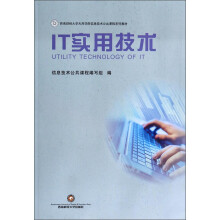 《IT实用技术》[55M]百度网盘|亲测有效|pdf下载