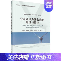 分布式风力发电系统原理与设计王晓东等科学出版社9787030619174pdf下载pdf下载
