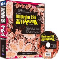 中文版Illustrator CS6高手成长之路（附DVD-ROM光盘1张）pdf下载pdf下载